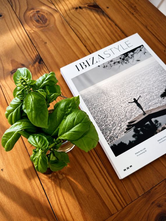 Basil and a magazine on the table